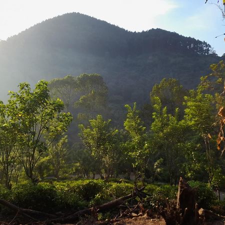 Ceylon Rich Leaves Ella住宿加早餐旅馆 外观 照片