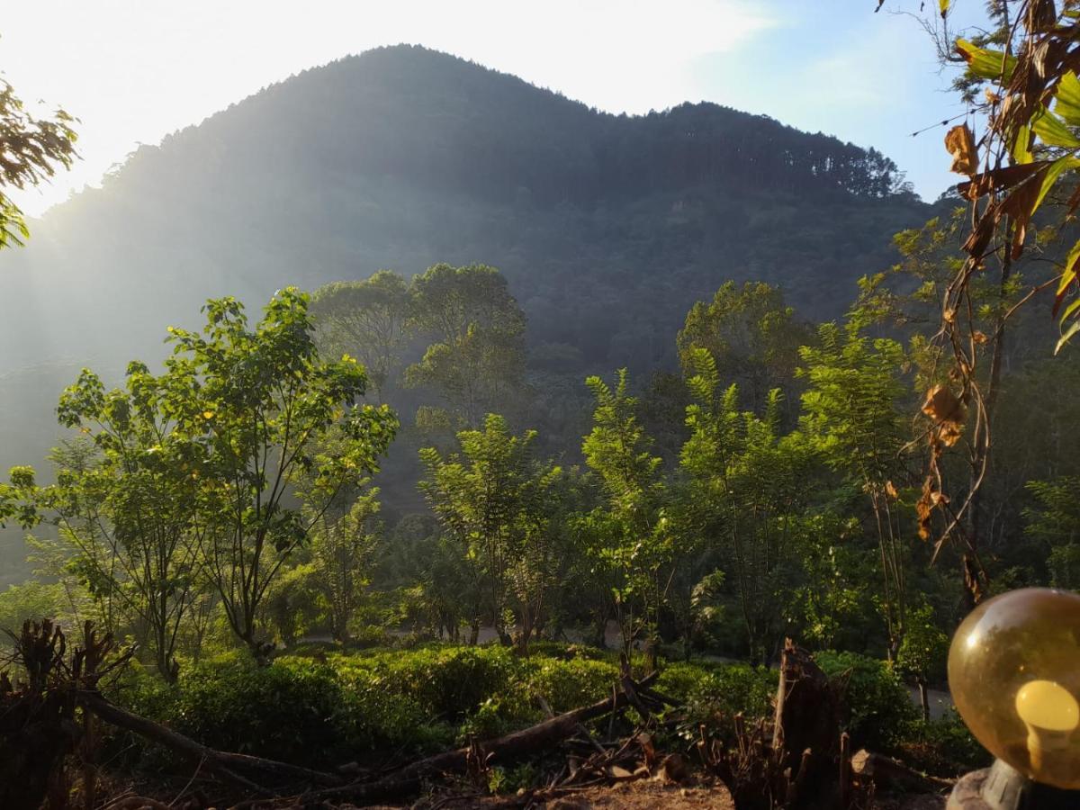 Ceylon Rich Leaves Ella住宿加早餐旅馆 外观 照片