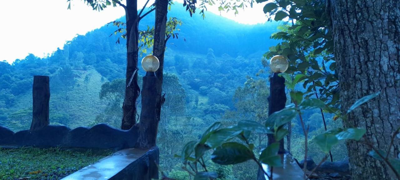 Ceylon Rich Leaves Ella住宿加早餐旅馆 外观 照片