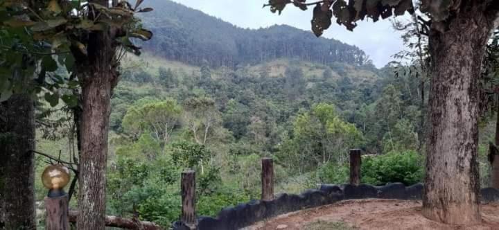 Ceylon Rich Leaves Ella住宿加早餐旅馆 外观 照片